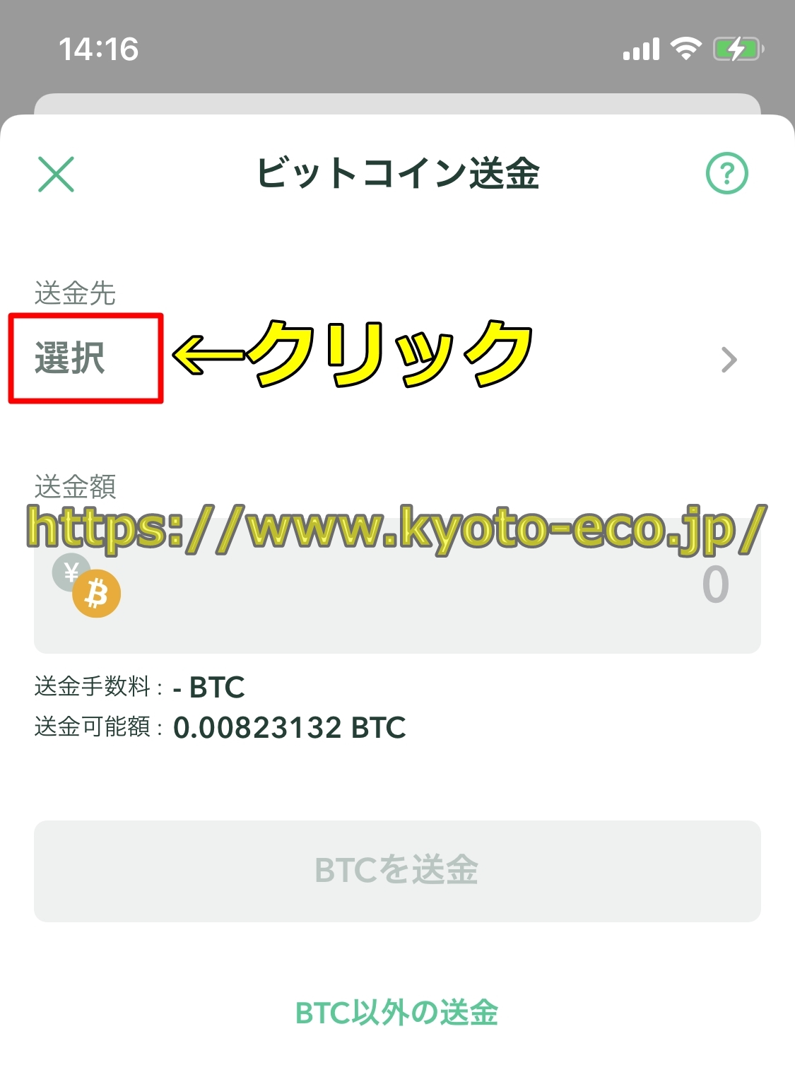 ビットカジノ